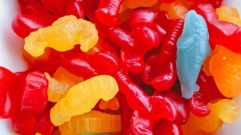 Trader Joe's aisle with frozen goods and candy