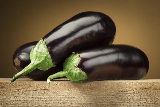 Insect-Resistant Eggplant