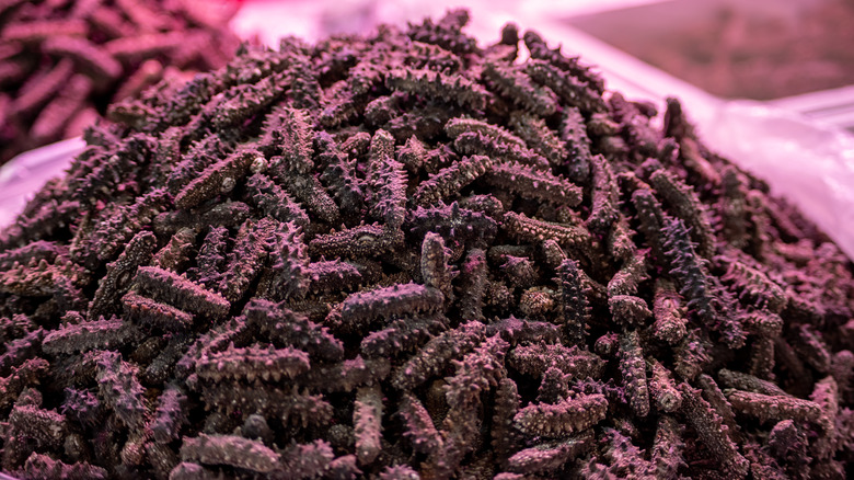 Pile of dried sea cucumber 
