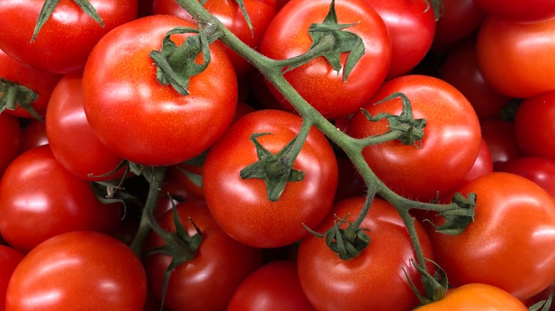 Tomatoes on a vine