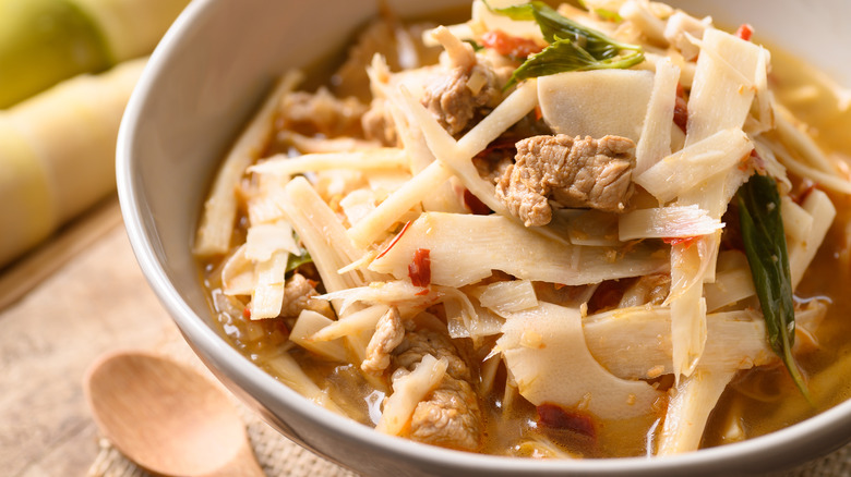 Bamboo shoot in a spicy Thai stew