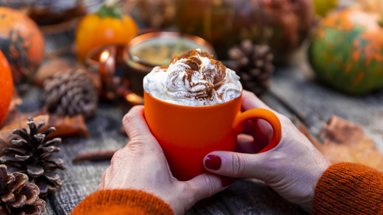 Person holding coffee mug with whipped cream