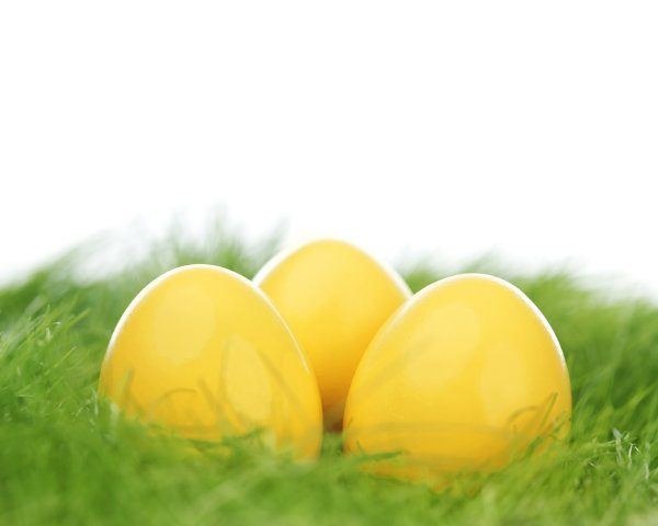 Carrot-top Yellow Easter Egg