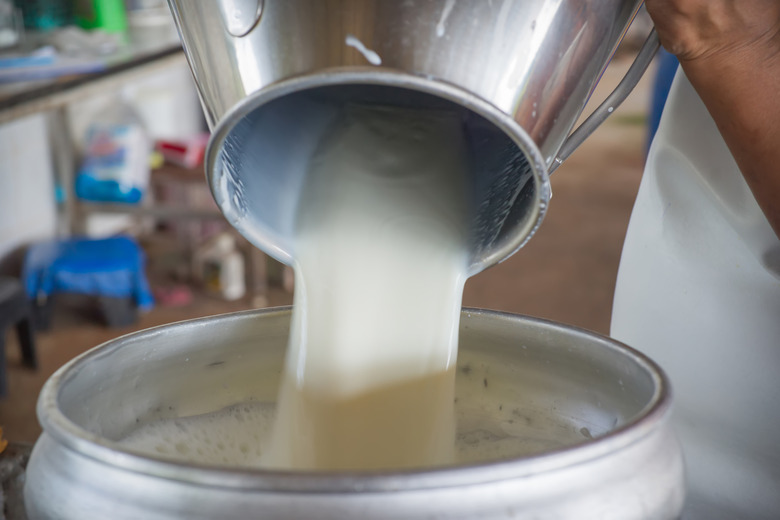 raw milk