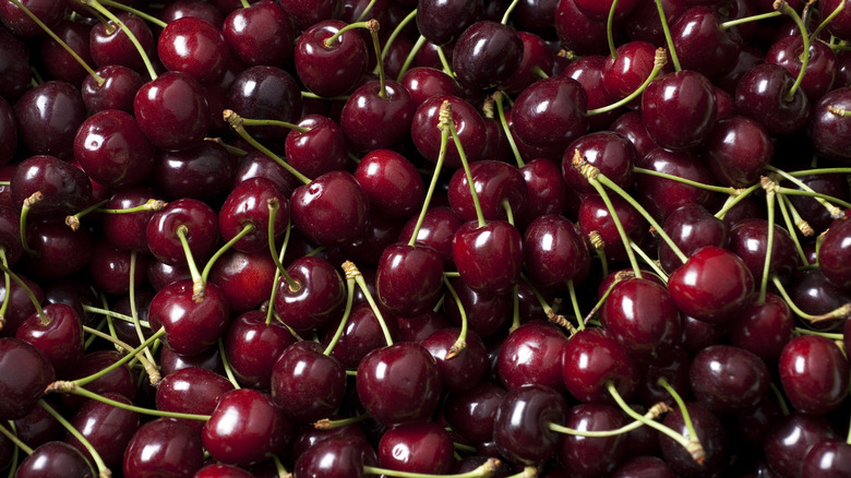 pile of shiny dark cherries