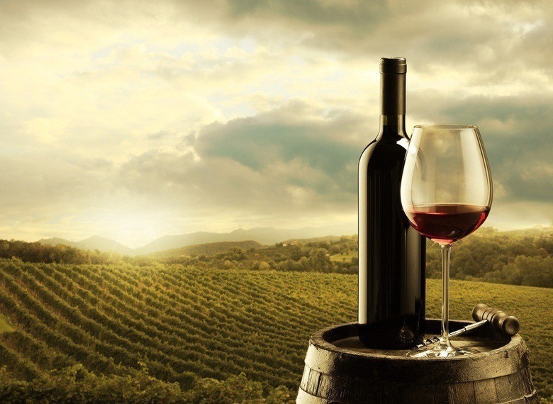 Chilean Wine