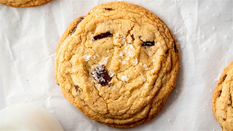chocolate chip cookie