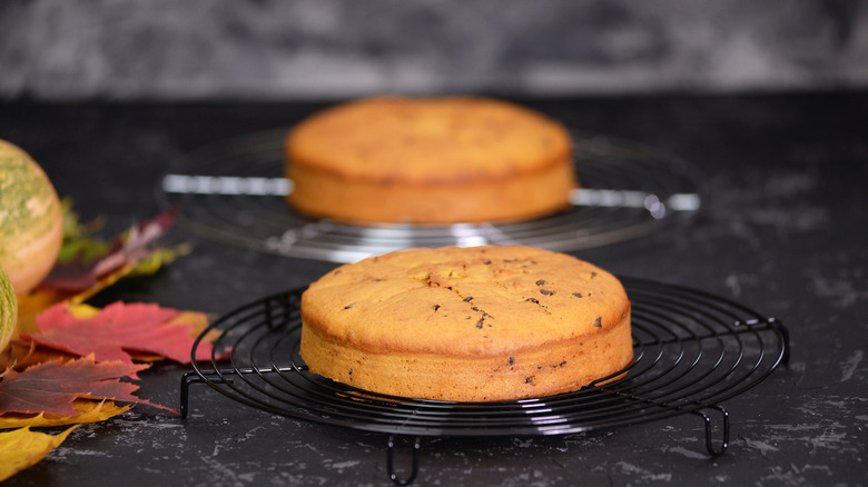 Chocolate Chip Layer Cake recipe - The Daily Meal