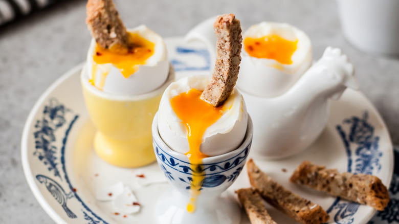 Soft boiled eggs or dippy eggs with toast strips placed in egg cups on a plate