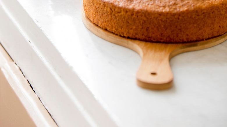 Carrot cake and grated carrots posed on countertop