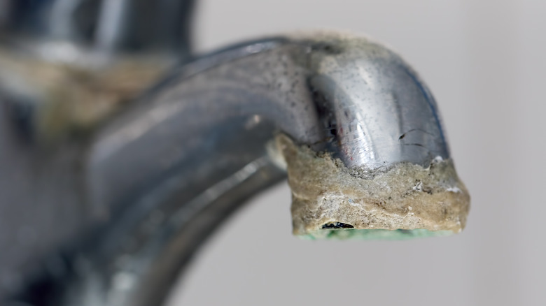 hard water scale on a faucet