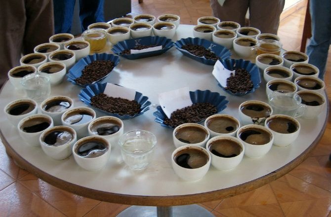 Coffee Cupping
