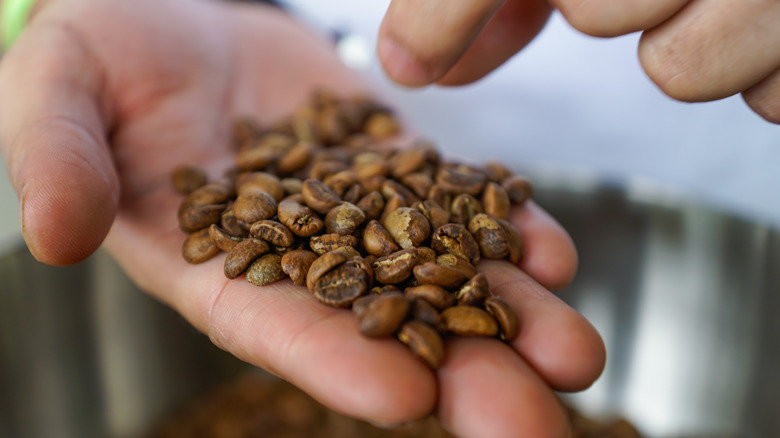 Hand holding coffee beans