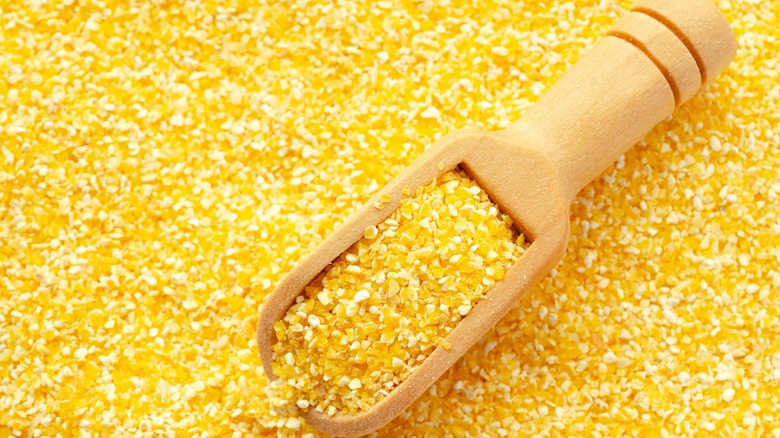 Cracked corn in wooden spoon