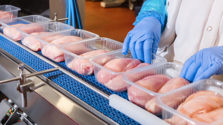 handling chicken on conveyor belt