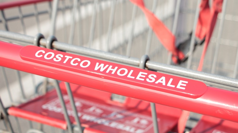 Costco shopping cart
