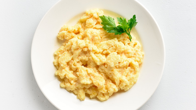 Scrambled eggs white plate parsley garnish