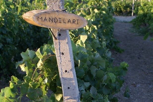 The Wines of Crete
