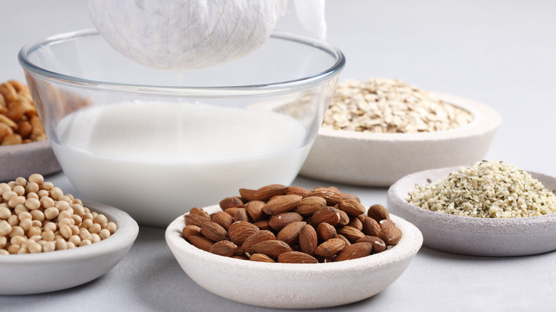 Making different nondairy milks