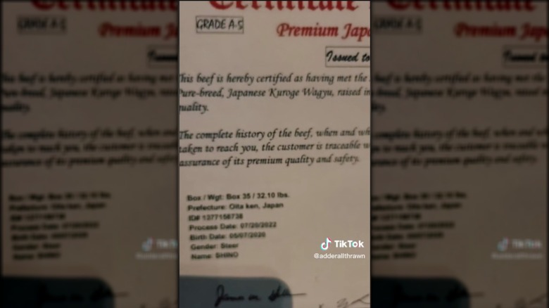 Wagyu beef certificate from Disney parks