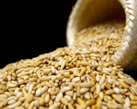 Pine Nuts