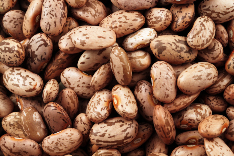 Pinto Beans