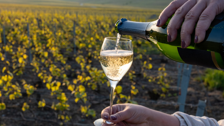 Two hands holding and pouring a glass of sparkling white wine by a vineyard