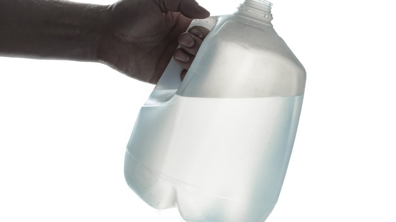 Jug of distilled water