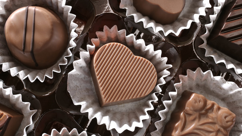 milk chocolate bonbons in a box of chocolates