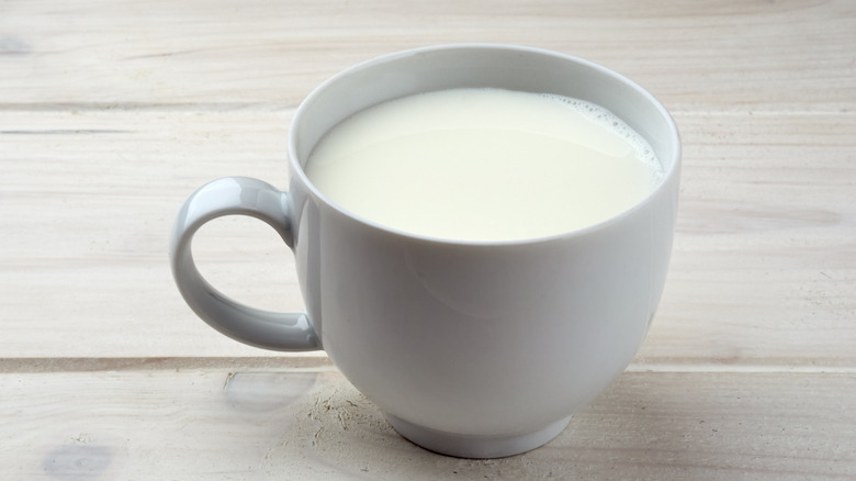 Mug of warm milk