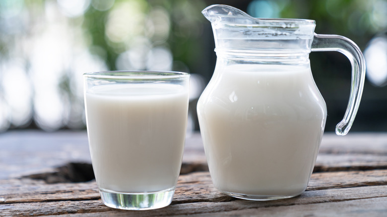 A pitcher and a glass of milk on a rustic wooden table outdoors