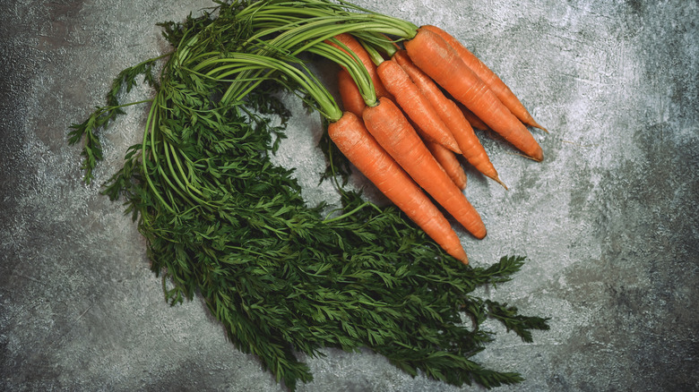 Carrots with tops on counter
