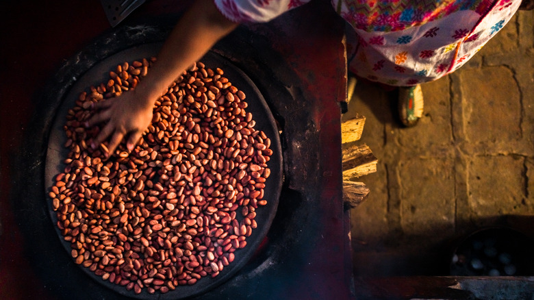 Cocoa bean blender touching beans