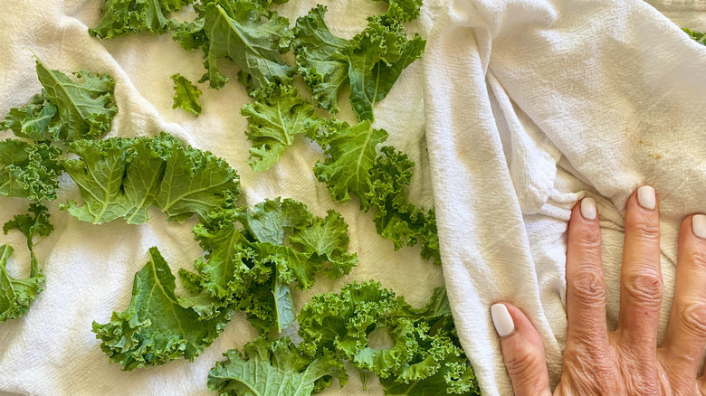 kale on towel 