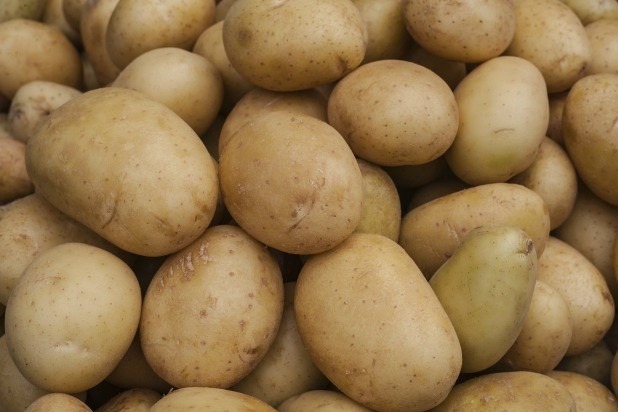 Eat these 5 Foods to Help the Environment