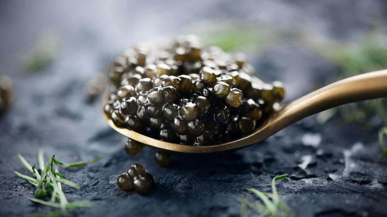 spoonful of caviar 