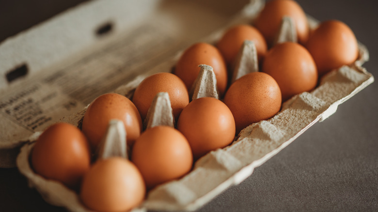 dozen brown eggs in carton