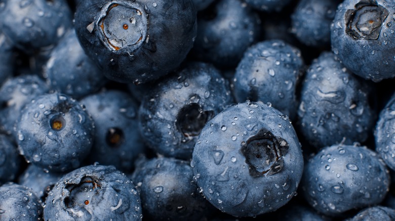 Close up of blueberries