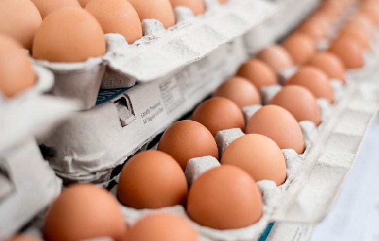 Eggs