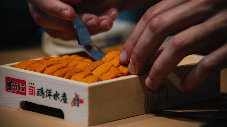 Hand placing Hokkaido tokujou bafun Uni