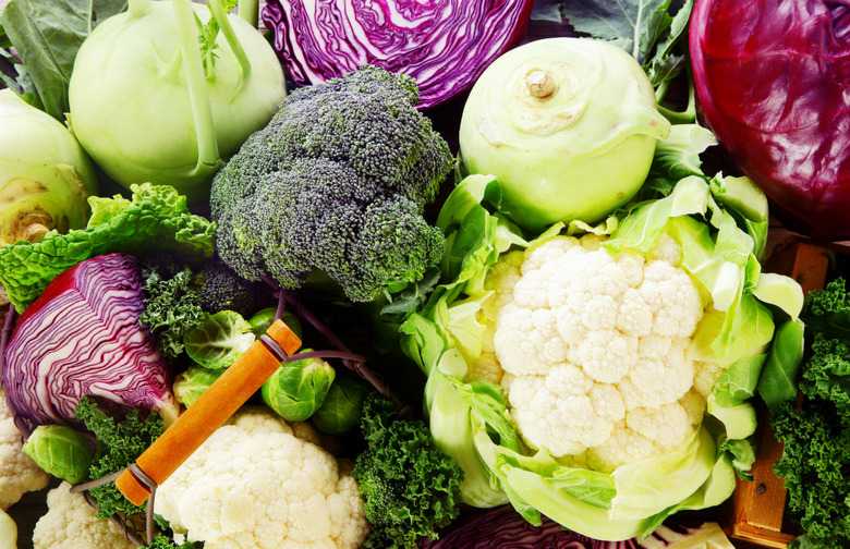 Your Raw Diet