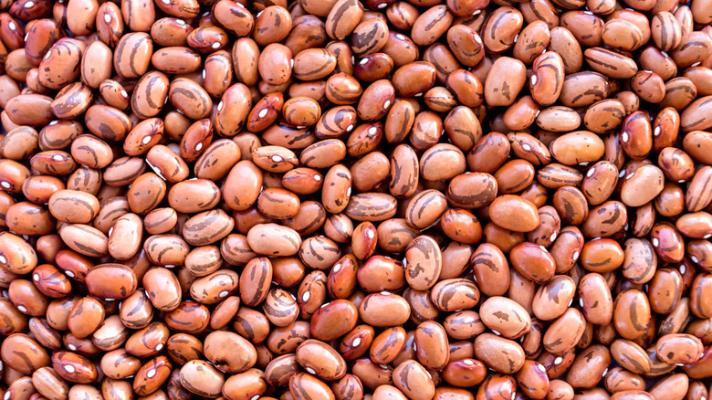 Dried beans
