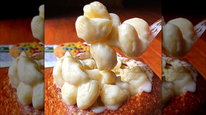 Close up of a bite of Panera mac and cheese on a plastic fork