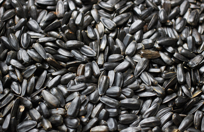 Seeds