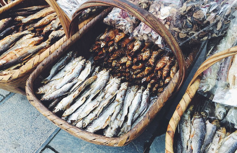 More on Fish