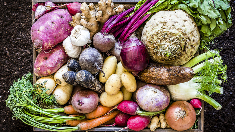 large crate of root vegetables on soil