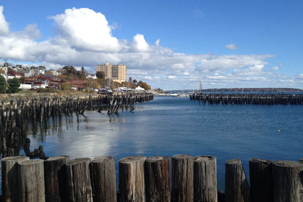 Harbor View