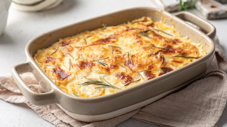 Cheesy casserole in shallow dish