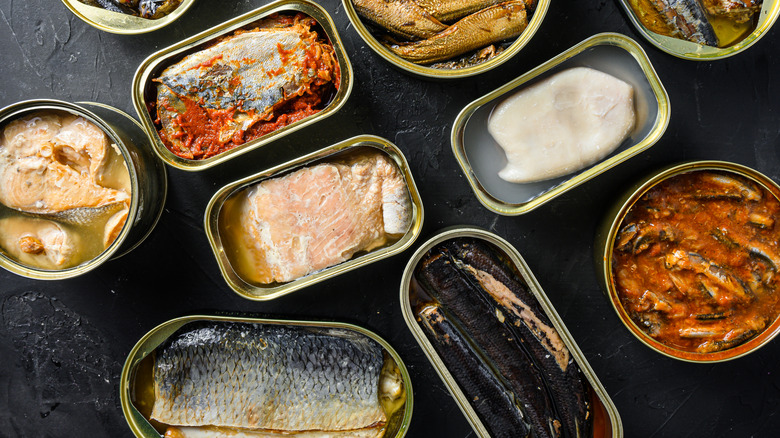 assorted open cans of tinned fish against a dark slate background