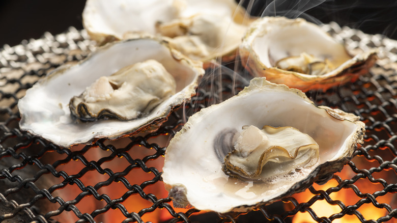 oysters on a grill